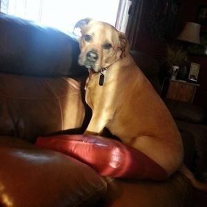 Meet your Posher, Trudy